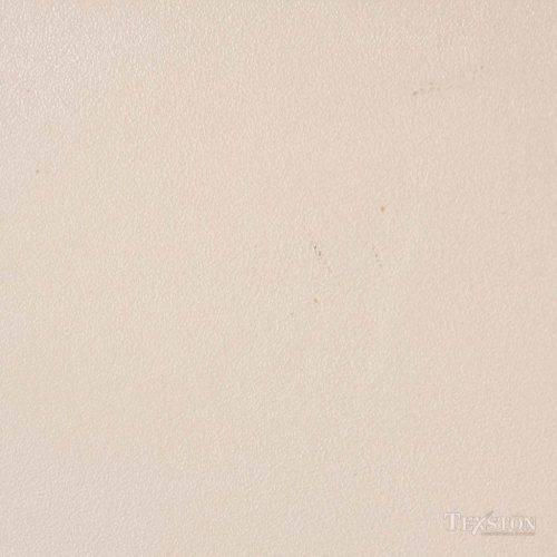 Antico Lime Plaster (VPC-3573D)