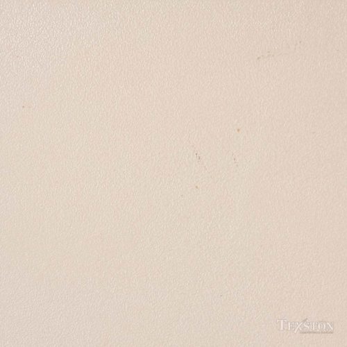 Antico Lime Plaster (VPC-3573D)