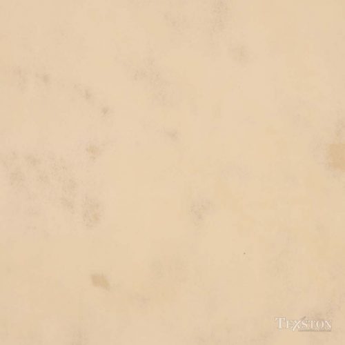 Antico Lime Plaster (VPC-3816G)