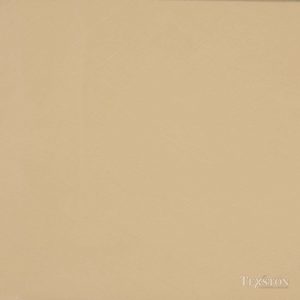 Classico Lime Paint Collection