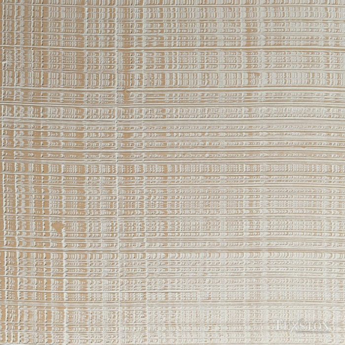 Impasto Artisan Plaster (VPC-6498I)