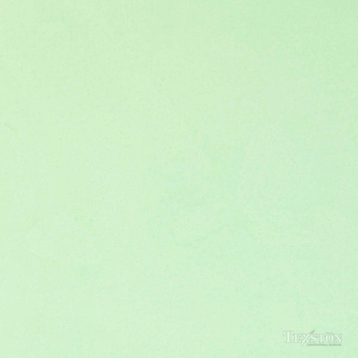 LiquidPlaster<sup>TM</sup> Lime Paint (VPC-6782C)