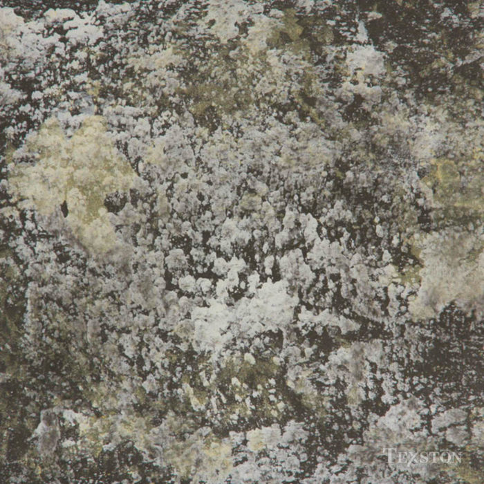 Antico Lime Plaster (VPC-4729J)